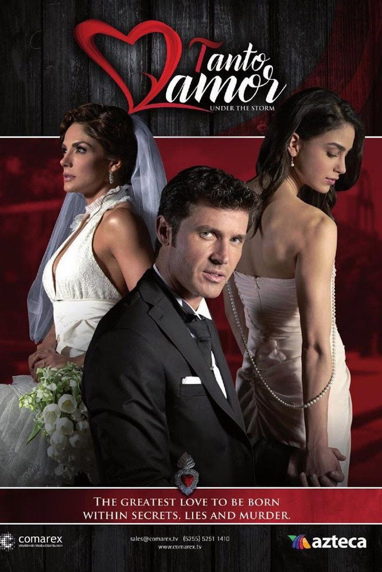 Póster de Tanto amor (2015)